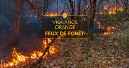 Passage en vigilance orange “Risque feux de forêt”