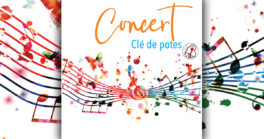 Concert de variété française contemporaine