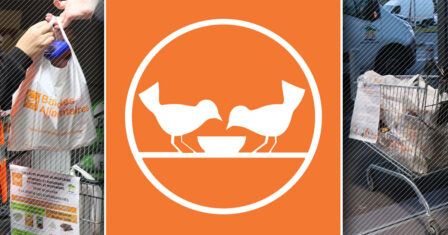 Collecte nationale de la Banque Alimentaire 2025