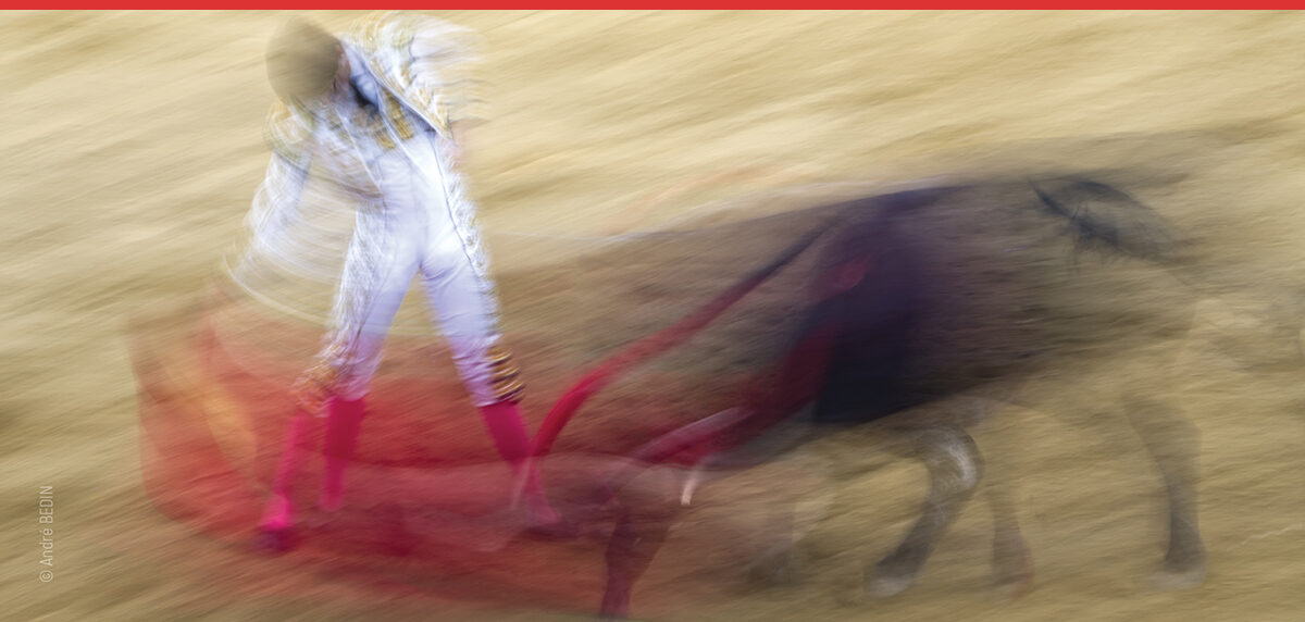 01 - VOEUX 2023 - COMITE TAURIN PARENTIS