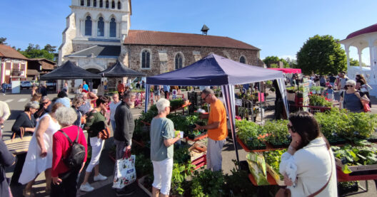 “50 Nuances de Jardins”, le marché aux plants, graines, fleurs et arbustes de mai