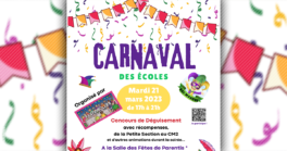 Le Bal de Carnaval de Festi'drolles