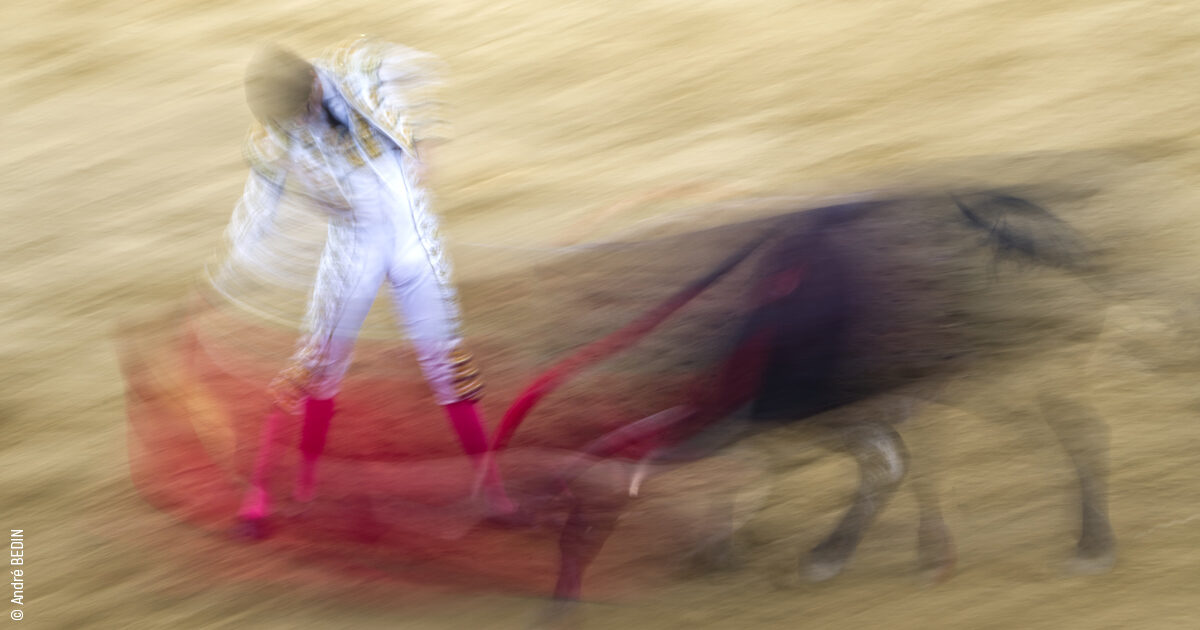 cartels-feria-sen-bertomiu-2023-abedin