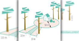 L'obligation de débroussaillement