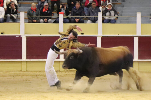 Spectacle Landes Émotions du lundi 31 juillet 2023