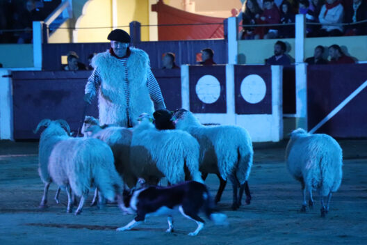 Spectacle Landes Émotions du lundi 28 août 2023