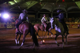 Spectacle Landes Émotions du lundi 14 août 2023