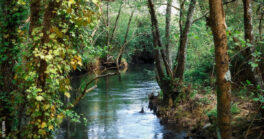 Interdiction des usages de l'eau sur le ruisseau du Moulin d'Esleys