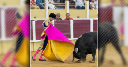 Le comité taurin annonce les élevages retenus pour sa temporada 2024