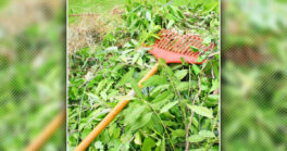 Indisponibilité de l'aire des déchets verts à la déchetterie de Parentis-en-Born