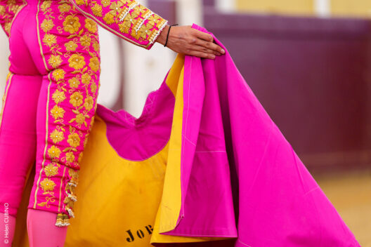 Présentation des cartels de la Feria Sen Bertomiu 2024