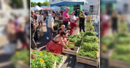 “50 Nuances de Jardins”, le marché aux plants, graines, fleurs et arbustes de Parentis-en-Born