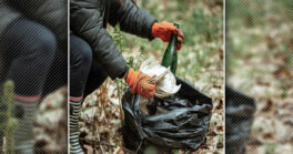 Nettoyage de la forêt parentissoise