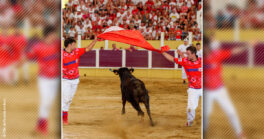 Le premier Croque-vaches de la saison !