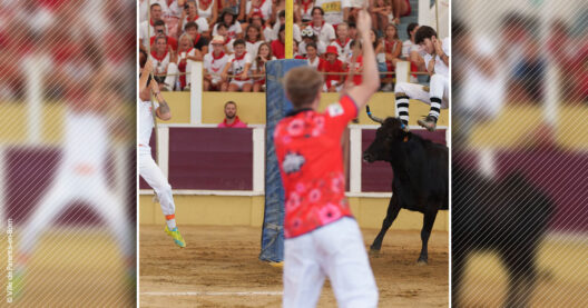 Croque-vaches du 19 juillet 2024