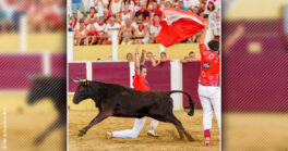 Croque-vaches du 02 août 2024