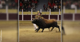Landes Émotions du 29 juillet 2024