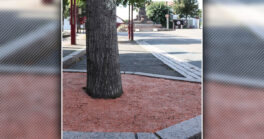 Un revêtement perméable pour limiter les adventices