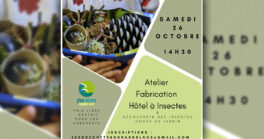 Atelier de fabrication d'un hôtel à insectes