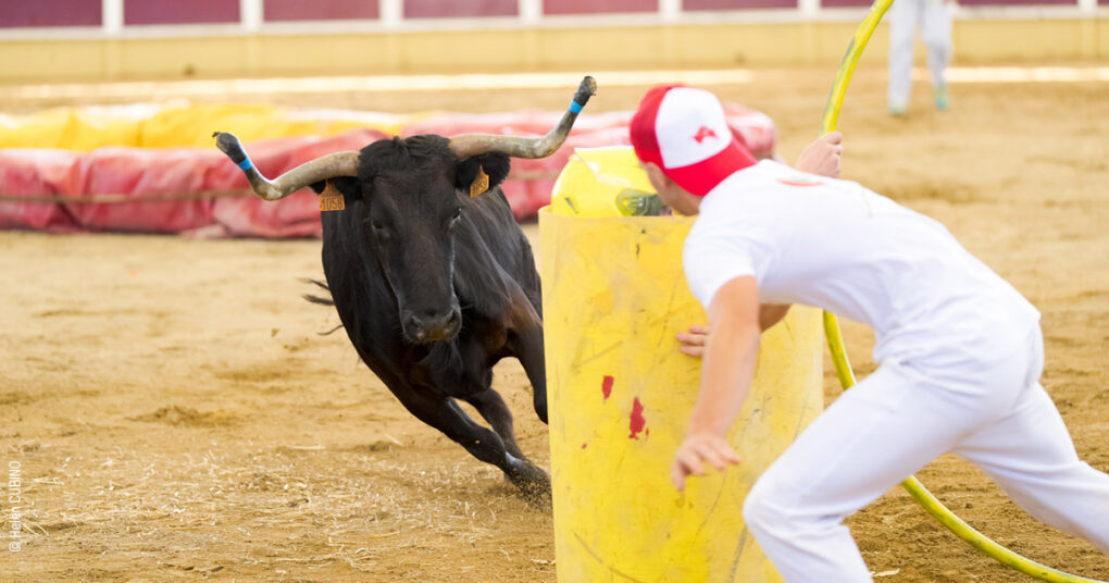 12 - Croquethon 2024 - telethon - Parentis
