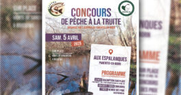 Concours de pêche à la truite