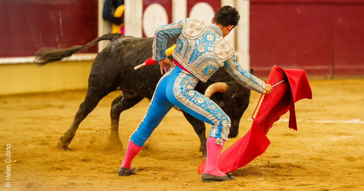 00 - Novilladas - Sen Bertomiu 2025 - Parentis