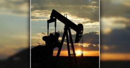 Visite gratuite du site pétrolier Vermilion