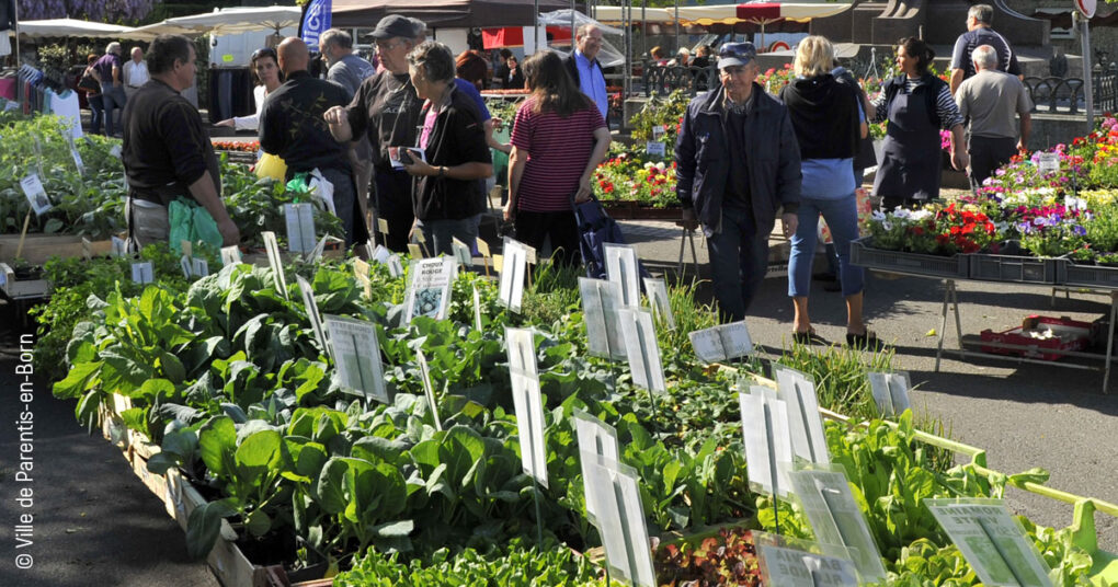 11 - 50 Nuances de Jardins - Parentis