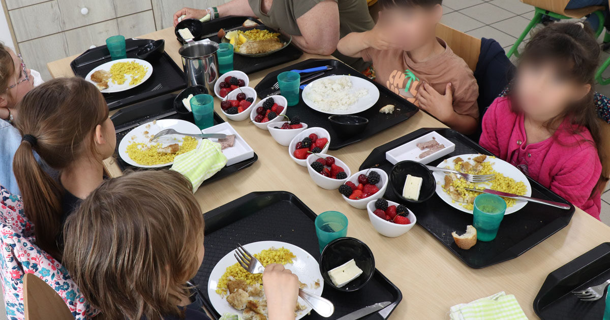 13 - Operation Fruits Rouges - Restauration - Parentis