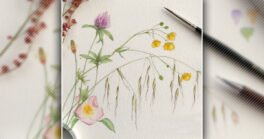 Atelier d’initiation à l’aquarelle