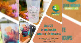 "Zéro Déchet des Grands Lacs" collecte les gobelets réutilisables