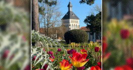 La ville décroche sa 1ère fleur...et un prix régional