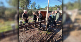 Visite de la volière anglaise de l’ACCA