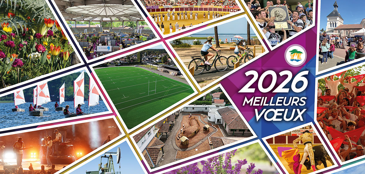 Voeux 2026 - Invit - Web - Parentis