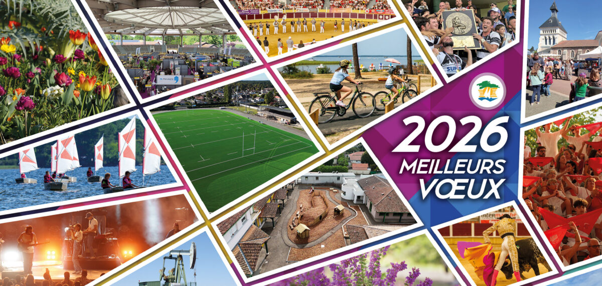 Voeux 2026
