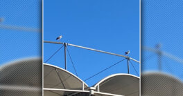 Elles ont choisi les meilleures places