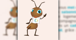 Et si vous logiez un saisonnier ?