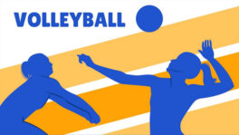 Coupe des Landes de VolleyBall