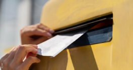 Nids de guêpes dans les boîtes aux lettres : appel à la vigilance