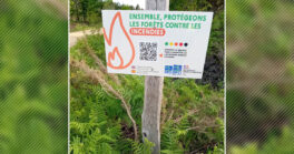 Feux de forêt : un nouveau dispositif de signalisation